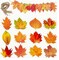 Autumn Harvest Maple Leaf Decor Set – 24pcs Hanging Fall Decorations for Thanksgiving, Parties & Classroom Displays
